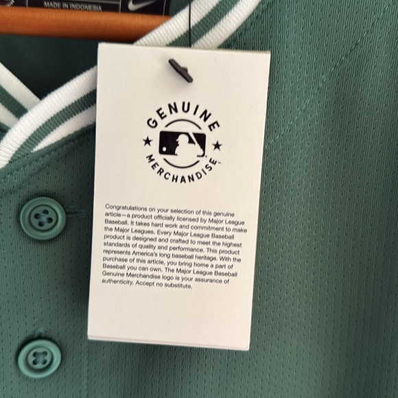 (NEW) Nike Boston Red Sox City Connect Vapor Jersey - #11 - Picture 10 of 12